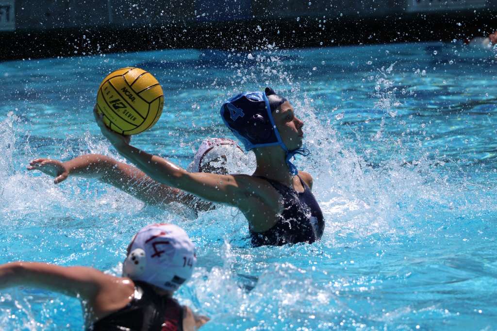 Del Mar Water Polo Club